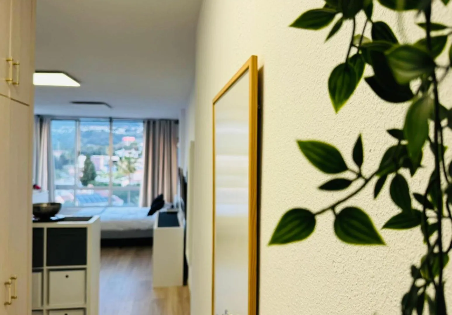 Panorama Estudio Fuengirola Spain
